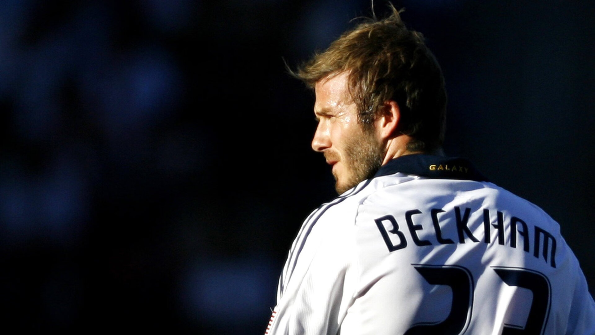 体育新闻中心上线体育内容智能推荐系统，《体育新闻》