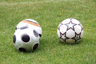 starsky sports直播-基层足球发展资金紧张，基层足球发展资金紧张的原因