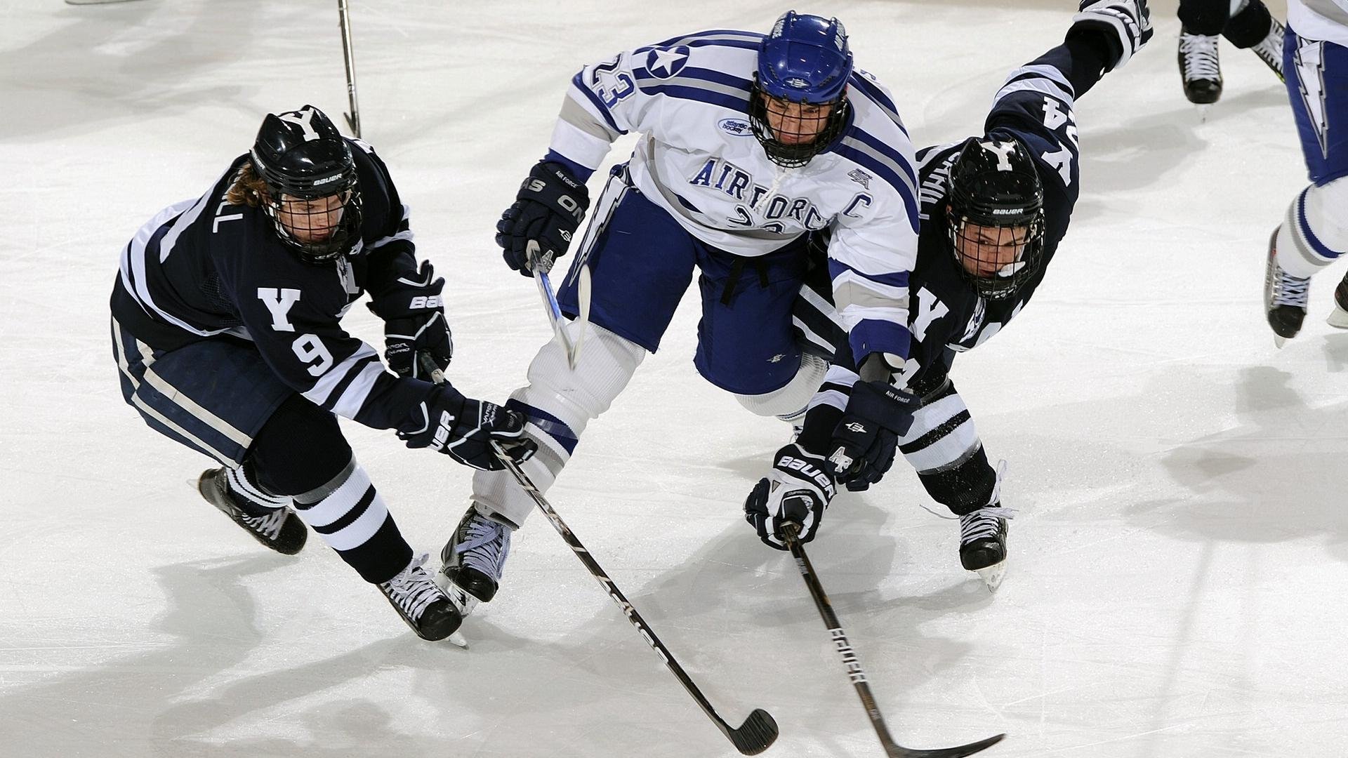 海湾者未来发展备受看好，潜力巨大，海湾技术