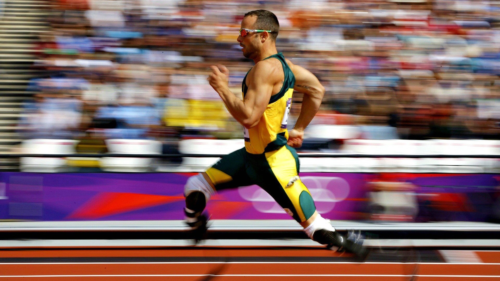 xingkong.com-国际赛事举办地文化周联动活动，城市形象推广显效，城市文化展览