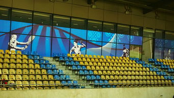 星空体育网站入口-巴西青训体系持续投入，未来足球天才持续涌现